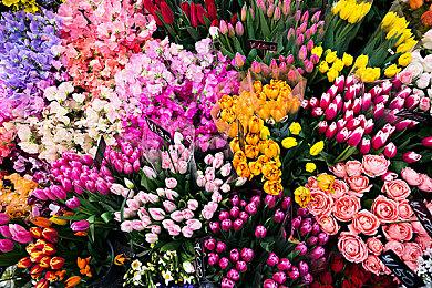 横版动作冒险游戏《Islets》将于8＆24登陆XB＆NS＆PC