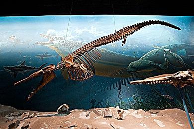 像素版《战地》开发商：EA和DICE仍能开发震撼《战地》游戏